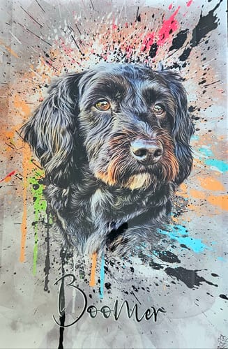 Customer photo review of Graffiti Pawtrait