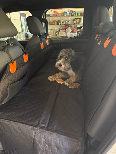 Customer photo review of RuffRover 2.0™ - Hard Bottom Dog Car Seat Protector
