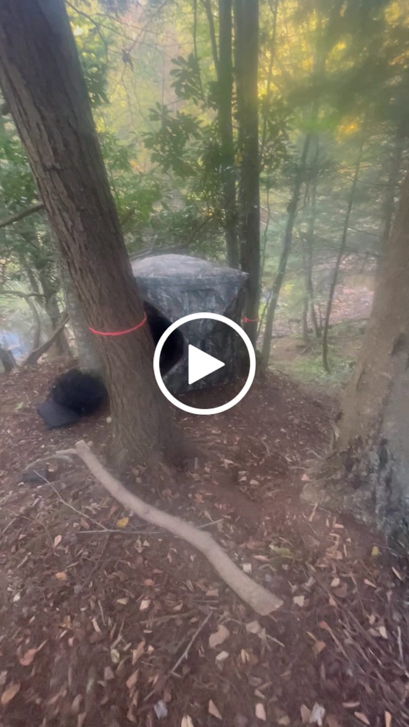 Customer video review of VisX/VisMax 270 Degree See Through Pop Up Hunting Blind