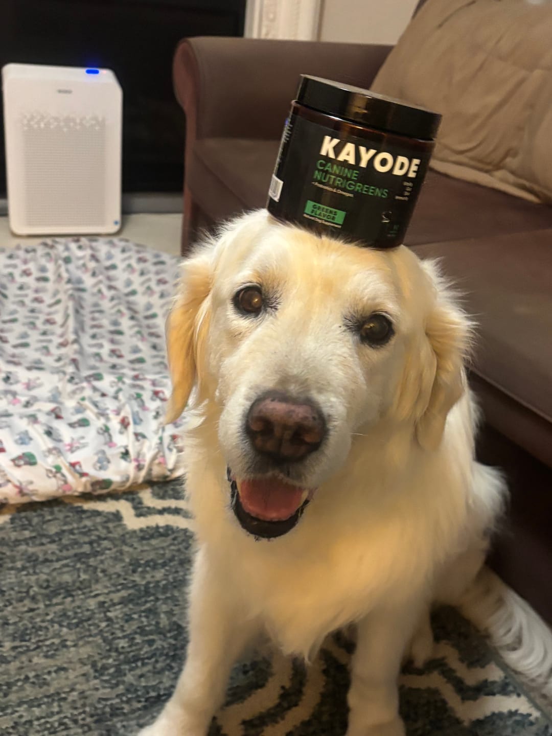 Customer photo review of Canine NutriGreens