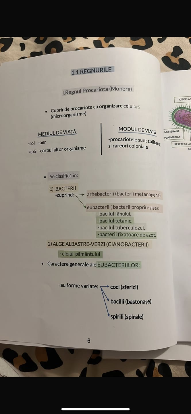 Customer photo review of Pachet Bacalaureat (Română + Matematică + Biologie Vegetală și Animală clasele IX-X) Bacademia