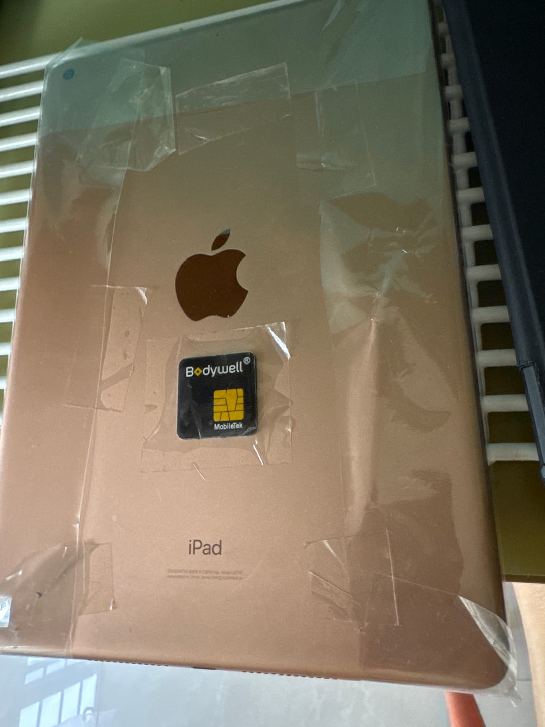 Customer photo review of 6 Pack | BioChip