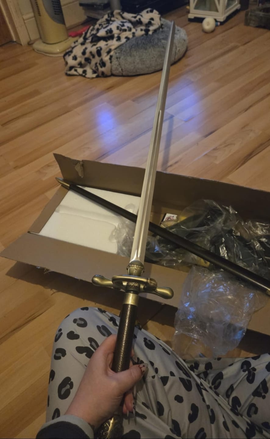 Customer photo review of GAME OF THRONES - Arya's Needle With Plaque And Scabbard