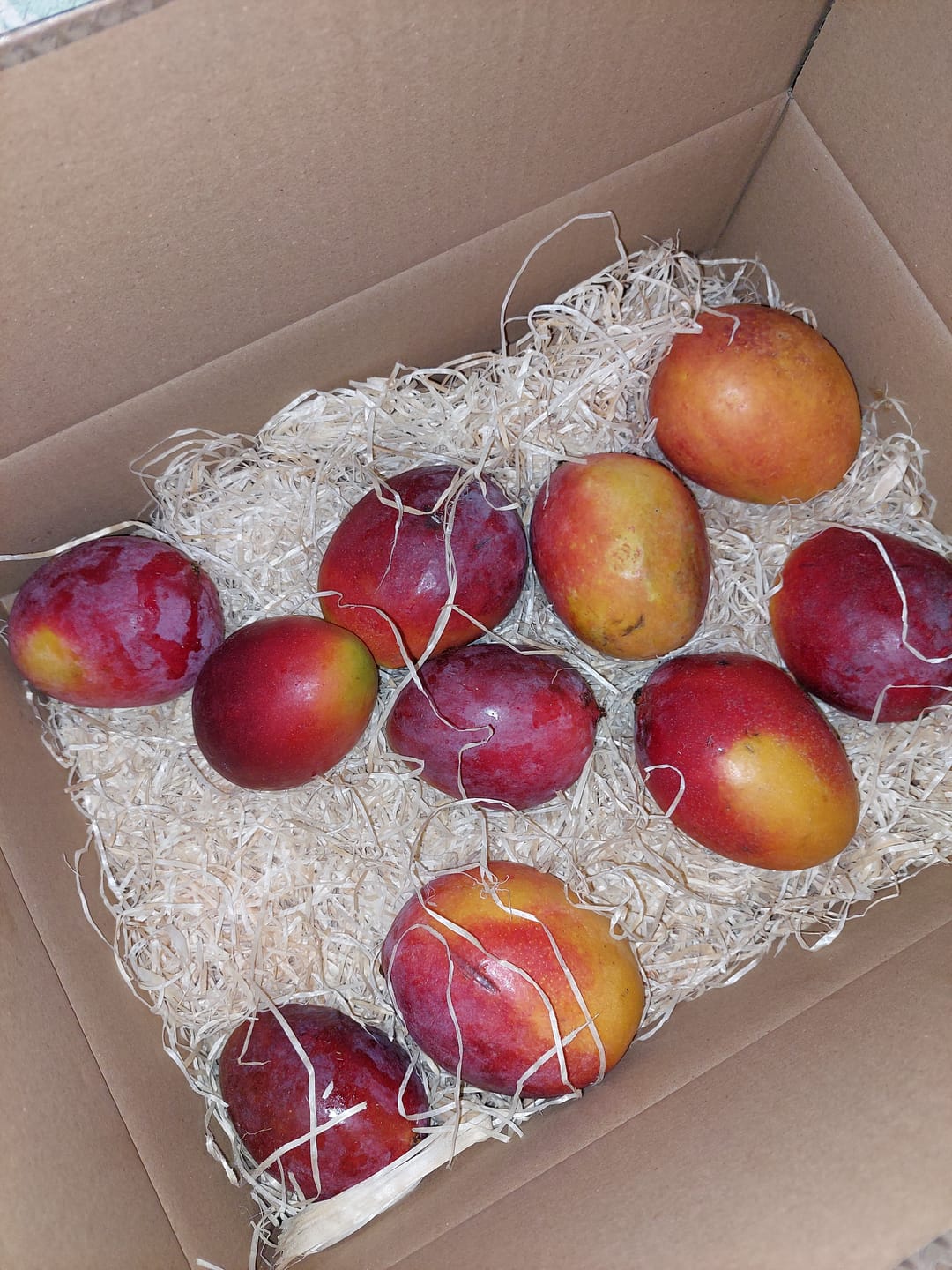 Customer photo review of Mango von Antonio Retterbox % 3kg