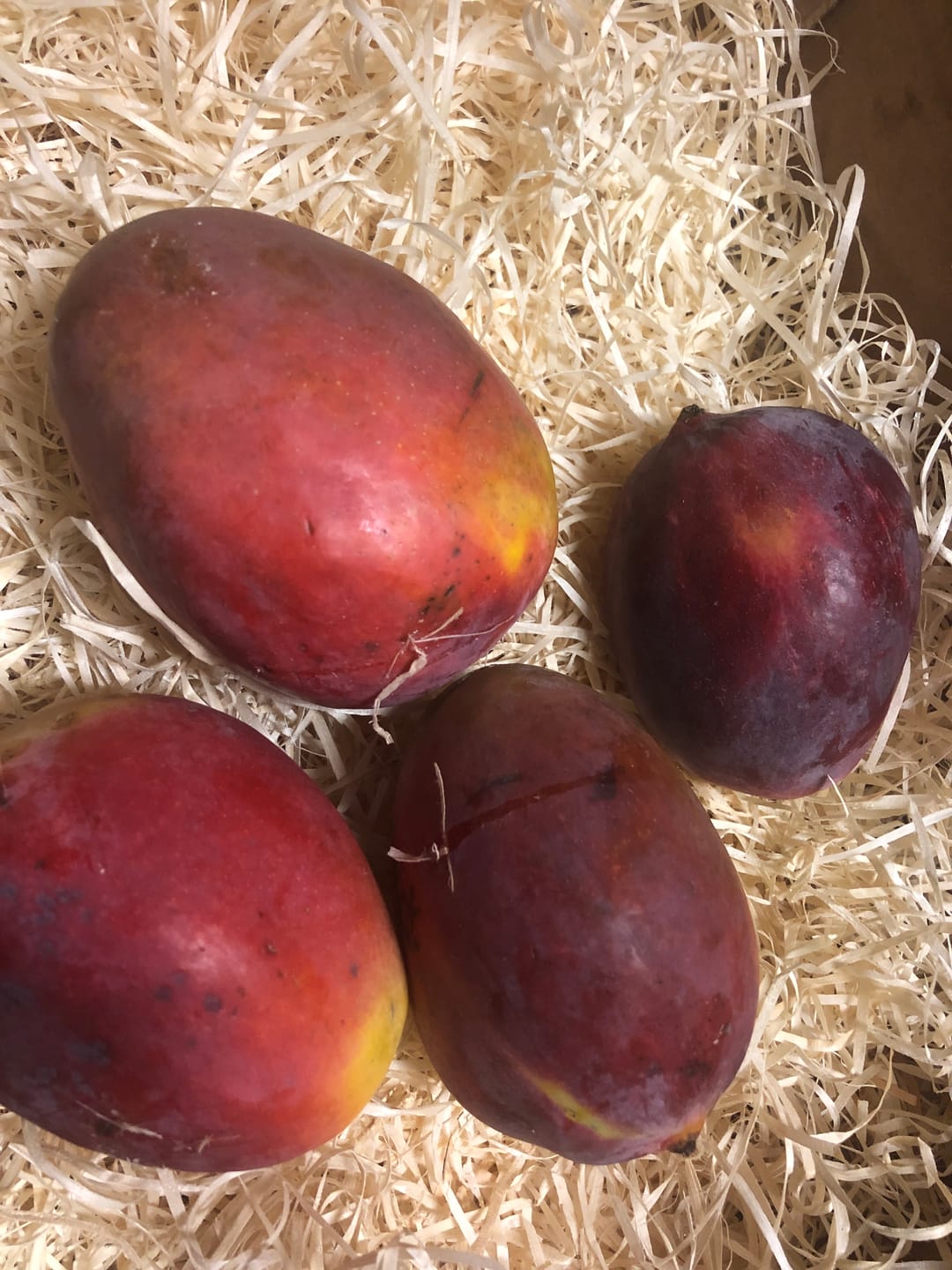 Customer photo review of Mango Irwin & Sensacion Bio Aktionsbox