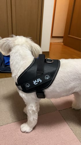 Customer photo review of FunFunPet 高機能ハーネス（お名前タグ作成サービス付き）