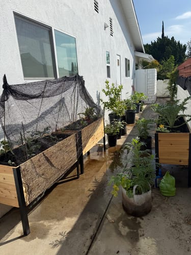 Customer photo review of 18" x 48" Raised Garden Bed - 30" TALL