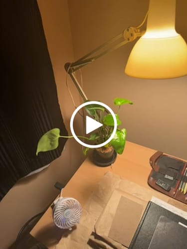 Customer video review of Monstera Deliciousa Live Indoor Plant, Easy Care Low Light Houseplant, Air Purifier Monstera Gift Plant Mother's Day Pet Friendly Plant