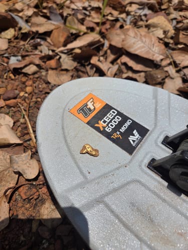 Customer photo review of 12 x 7 inch XCEED Coils by Nugget Finder for GPX 6000