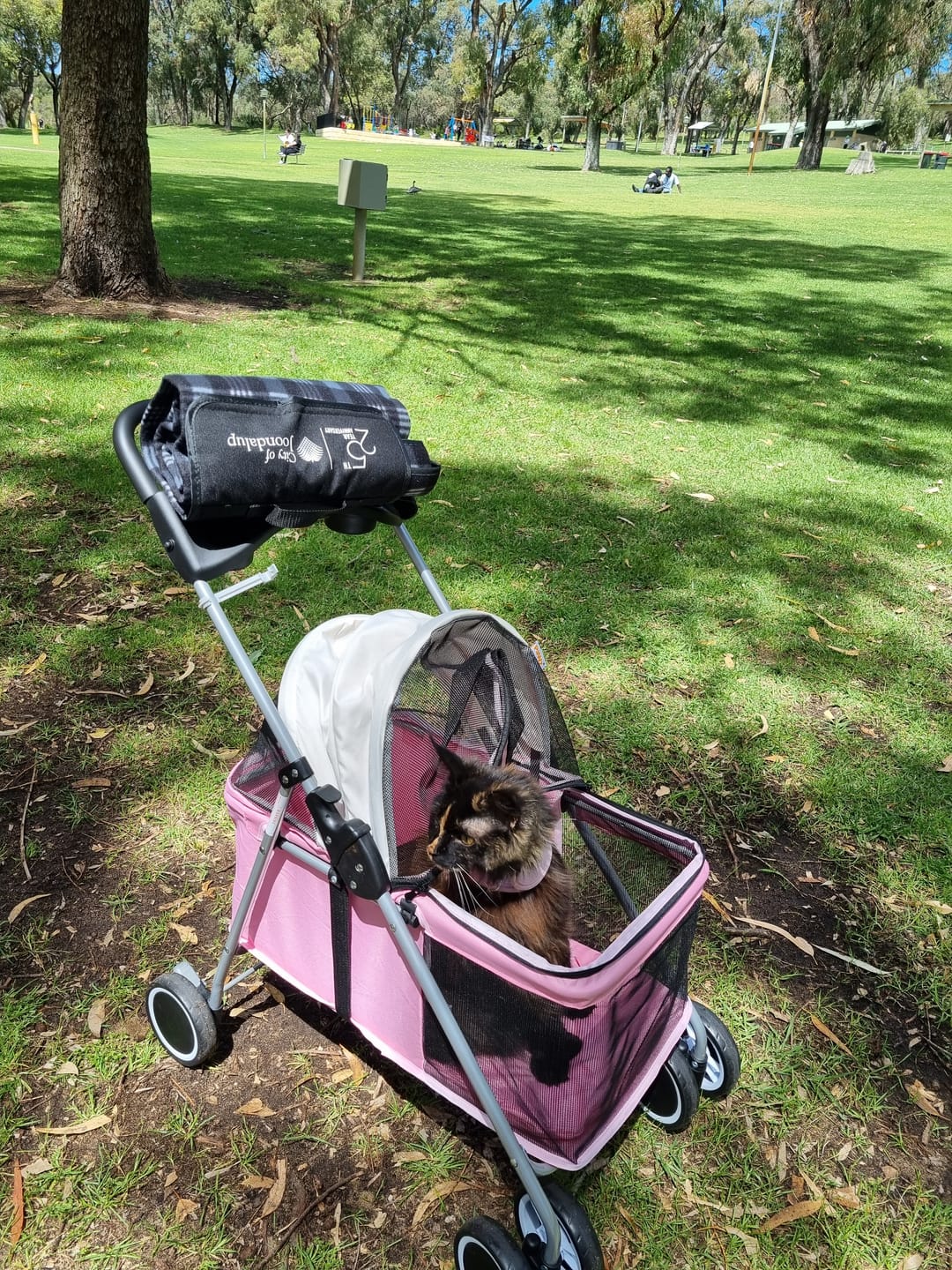 Customer photo review of Compact & Comfortable Pet Stroller