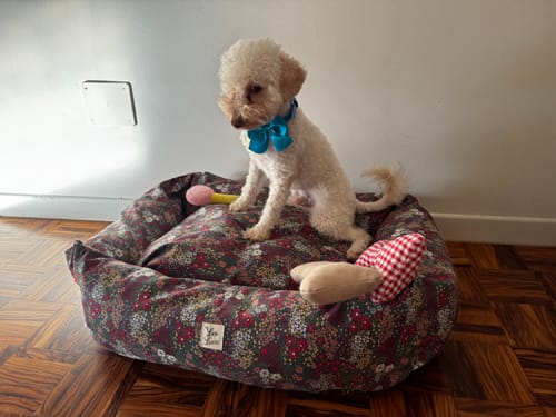 Customer photo review of Cover Divanetto Cotone Panama Liberty Floreale