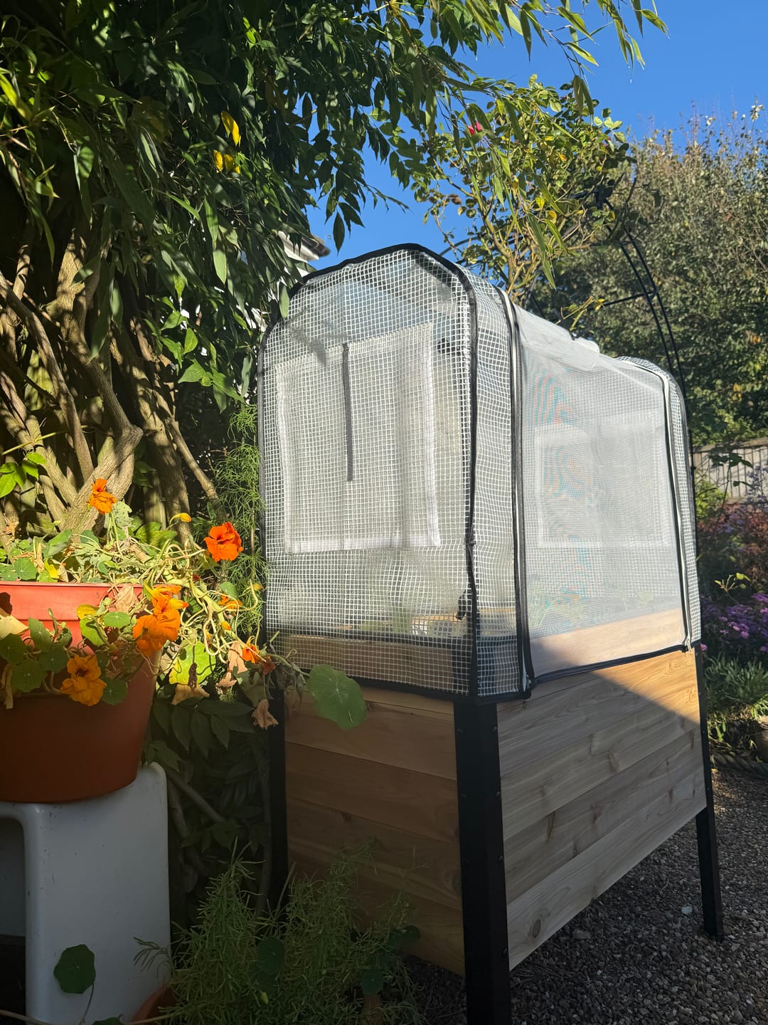 Customer photo review of Raised Garden Bed - 46cm x 92cm x 76cm
