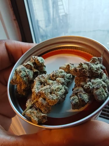 Customer photo review of Devil's Driver