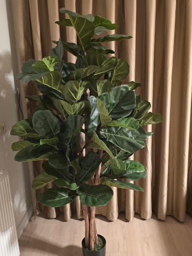Customer photo review of Ficus Kunstplant 180cm