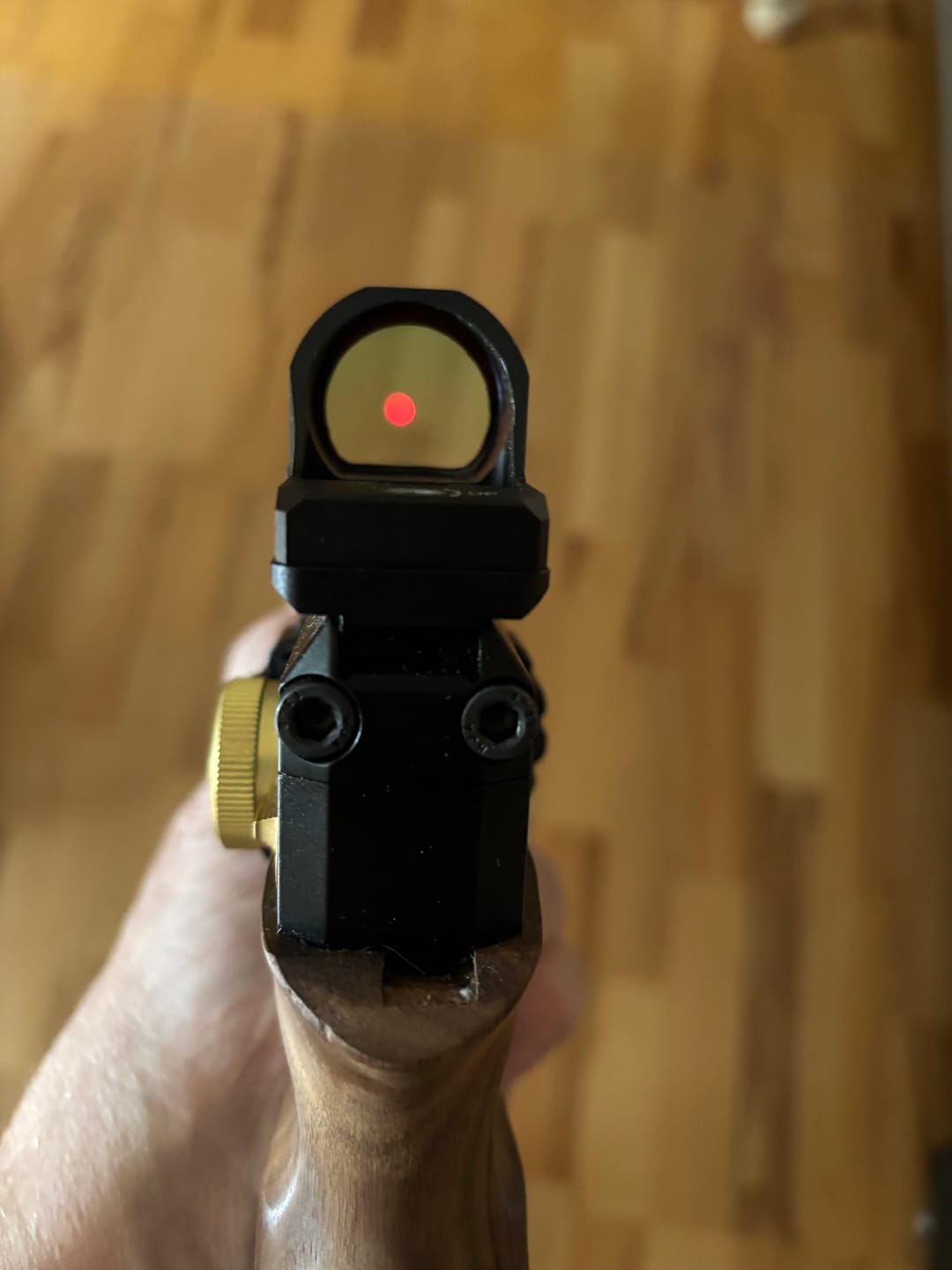 Customer photo review of Vector Optics SCRD-36 Frenzy-X 1x22x26 MOS