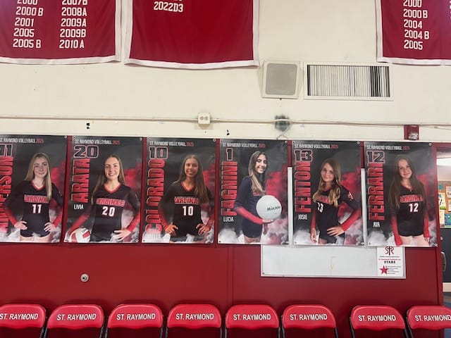 Customer photo review of Custom Sports Banner - Sports Legends Volleyball