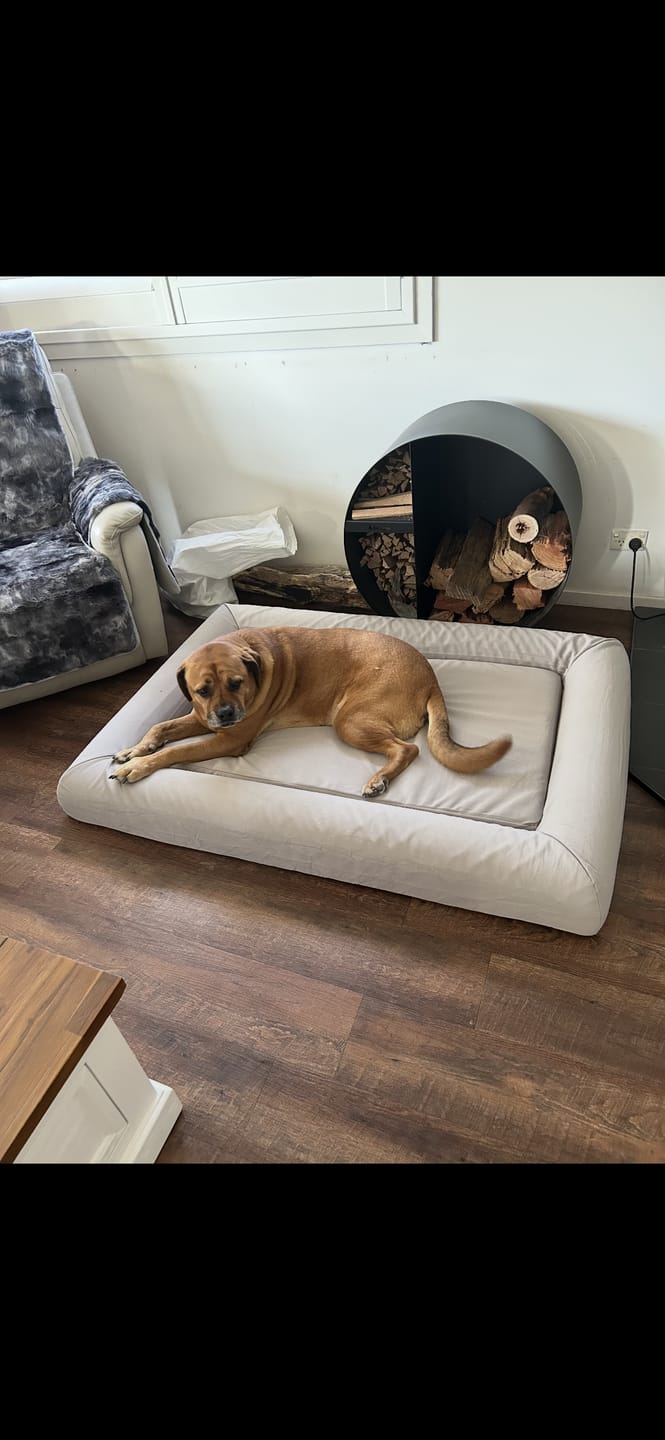 Customer photo review of Orthopaedic Memory Foam Dog Bed