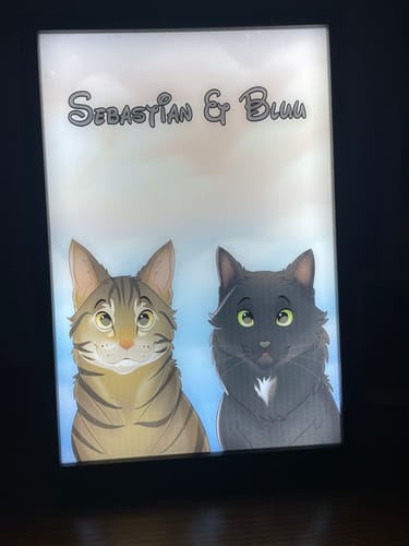 Customer photo review of Custom Pet Light Box Art