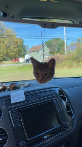 Customer photo review of Custom Air Freshener