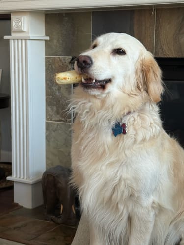 Customer photo review of 6 Inch Stuffed Collagen Sticks Peanut Butter Flavor