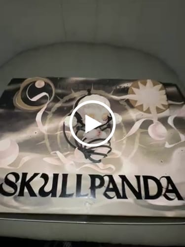 Customer video review of 【Sale】SKULLPANDA Image Of Reality Series Blind Box