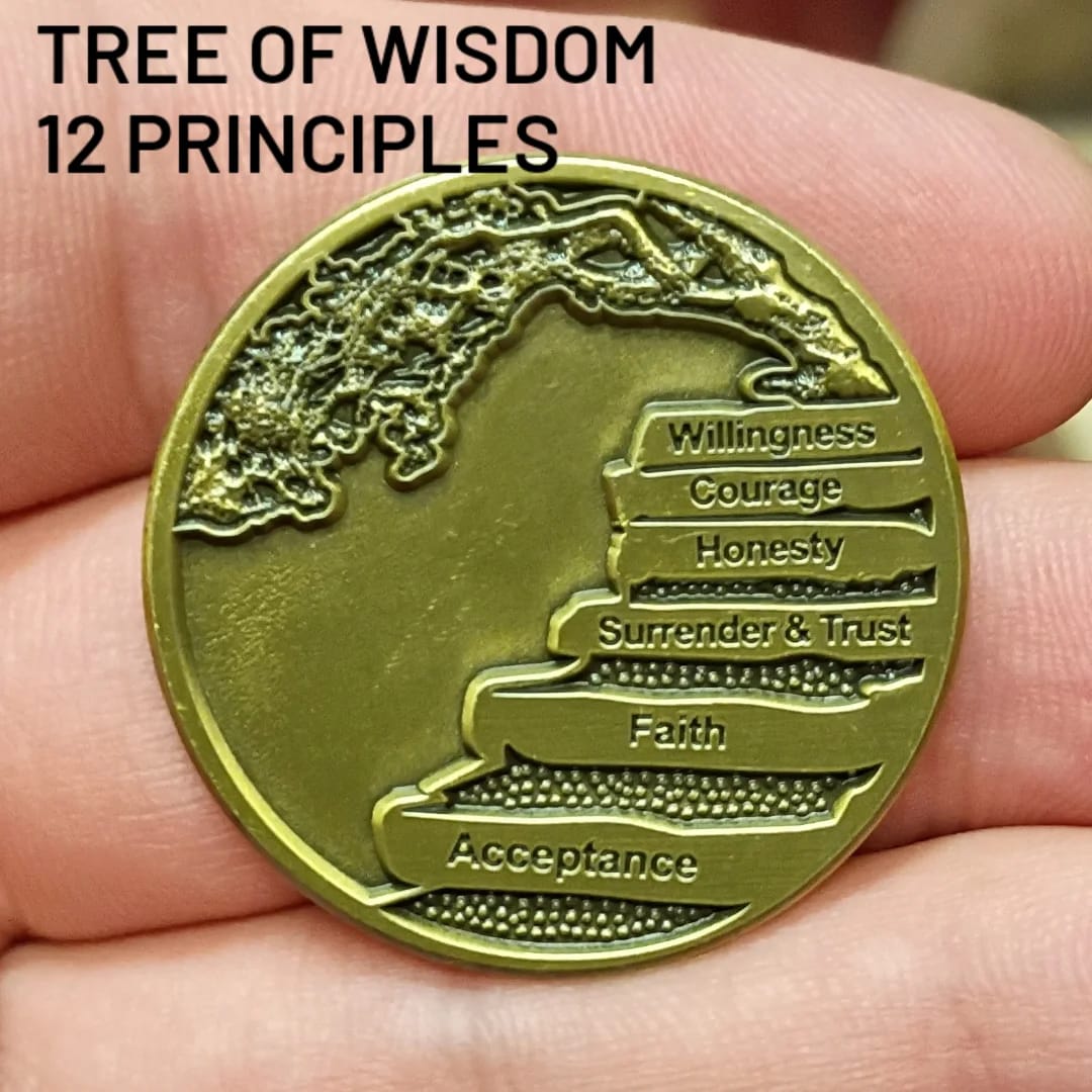 Customer photo review of Wisdom Tree 12 Steps/Principles AA Bronze Recovery Medallion