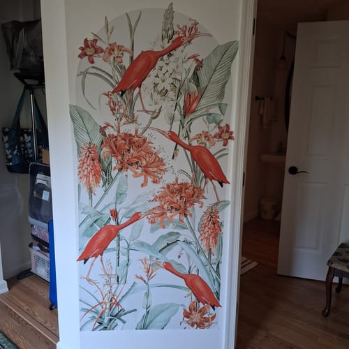 Customer photo review of Scarlet Ibisa