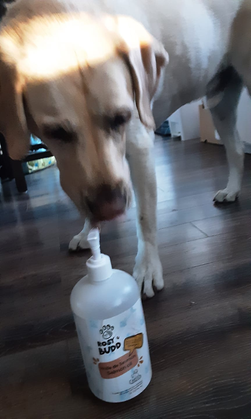 Customer photo review of Rosy & Budd - Huile de Saumon SALM+ 947 ml pour animaux