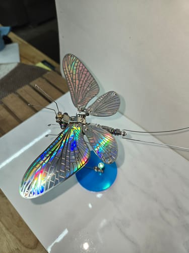 Customer photo review of Mayfly