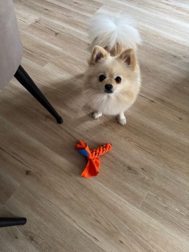 Customer photo review of Shiny Hair