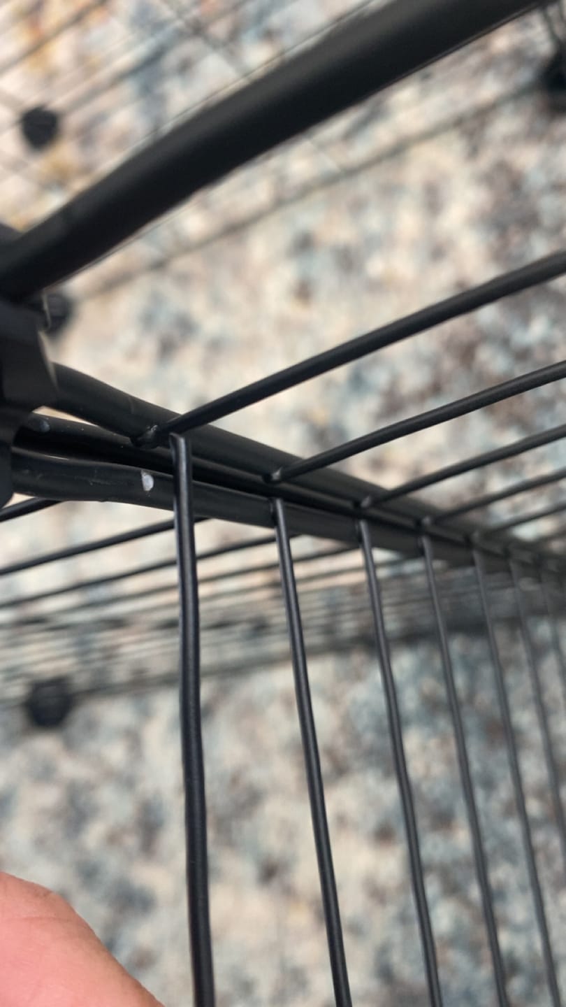 Customer photo review of 4x2 C&C Cage with Stand