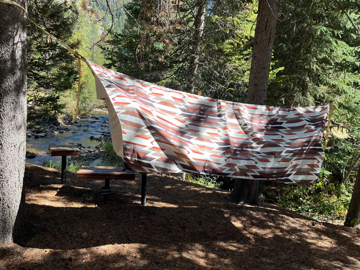 Customer photo review of Haven Safari
