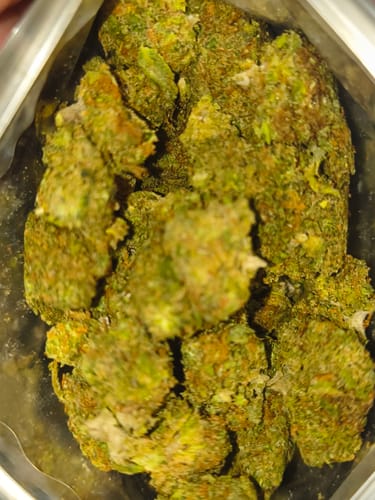 Customer photo review of BFCM CBD Flower Ounce (40% Off)