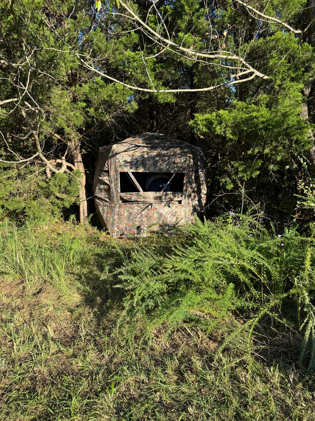 Customer photo review of VisFive360 See Through 4-5 Person 5-Sides Deer Hunting Blind