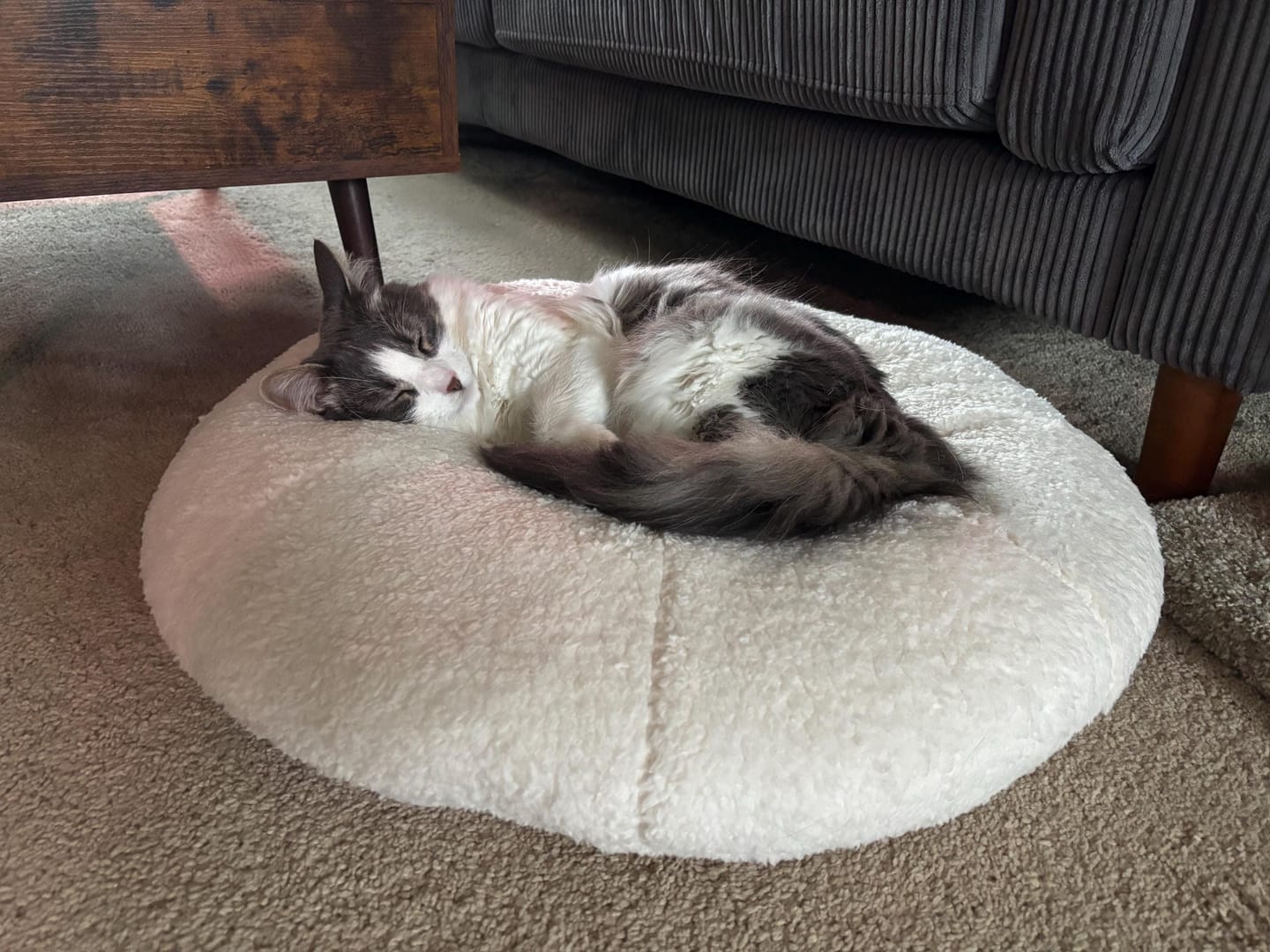 Customer photo review of Marshmallow Pudding Bed