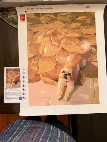 Customer photo review of Custom Paint By Numbers Kit - Upload Your Photo - Brush Set Included