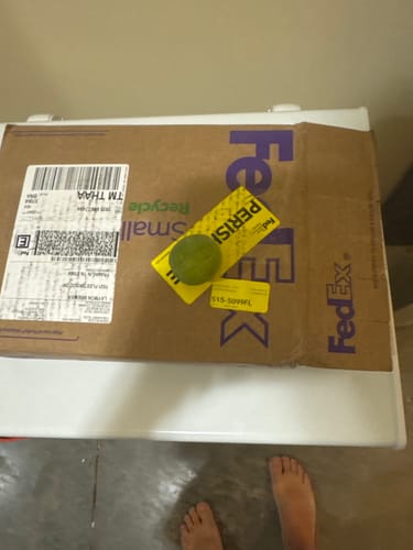Customer photo review of Organic Key Limes 5 lbs