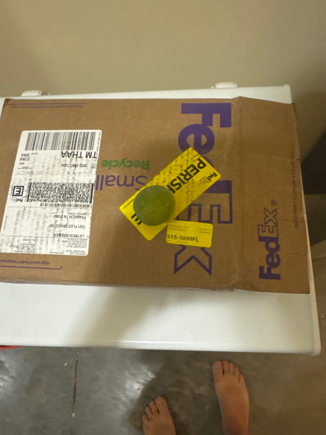 Customer photo review of Organic Key Limes 5 lbs