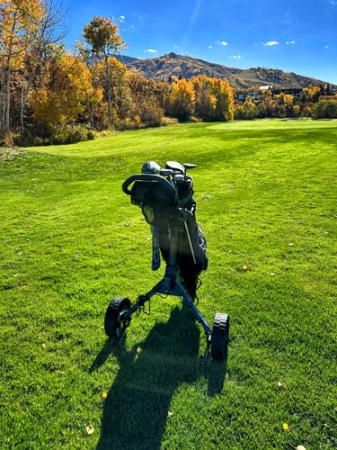 Customer photo review of Cybercart