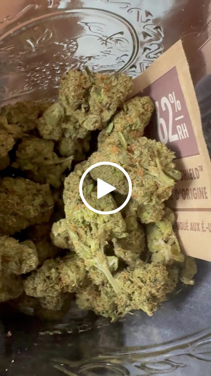 Customer video review of Jealousy - THCa Flower