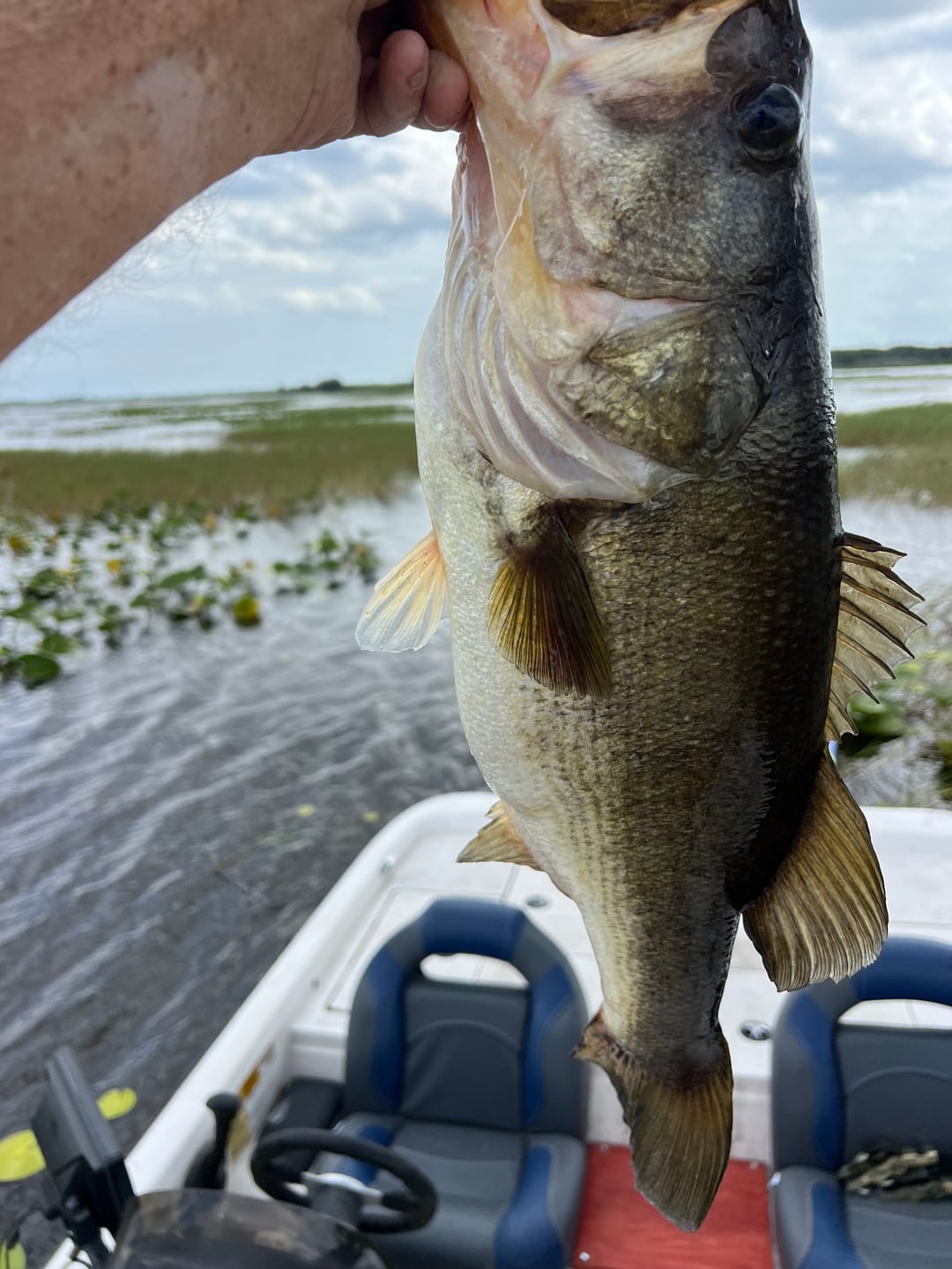 Customer photo review of 200% Sensitive Tungsten Worm Weights | Bullet Weights | 2 Colors 5 Pack