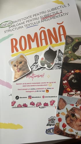 Recenzie cu fotografie de la un client despre Carte Română Bacalaureat Bacademia (temă și viziune, caracterizare, relație) - Ediția II