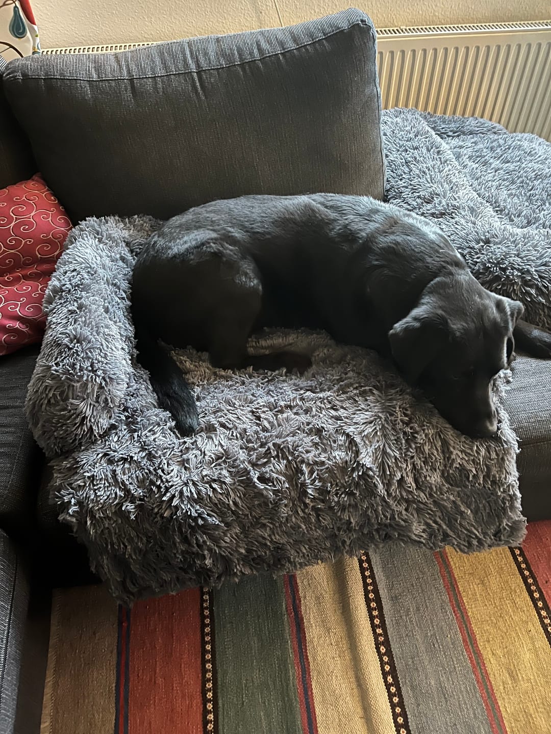Customer photo review of CalmCouch - Motverkar ångest & skyddar din soffa