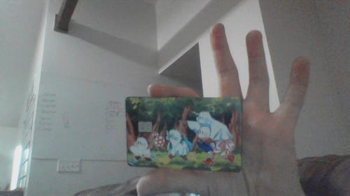 Customer photo review of Runaway Ghosts Credit Card Skins