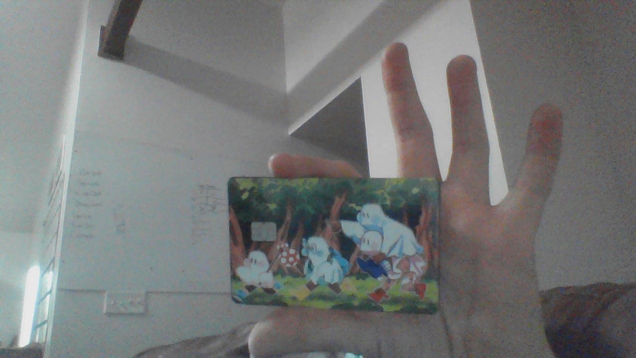 Customer photo review of Runaway Ghosts Credit Card Skins