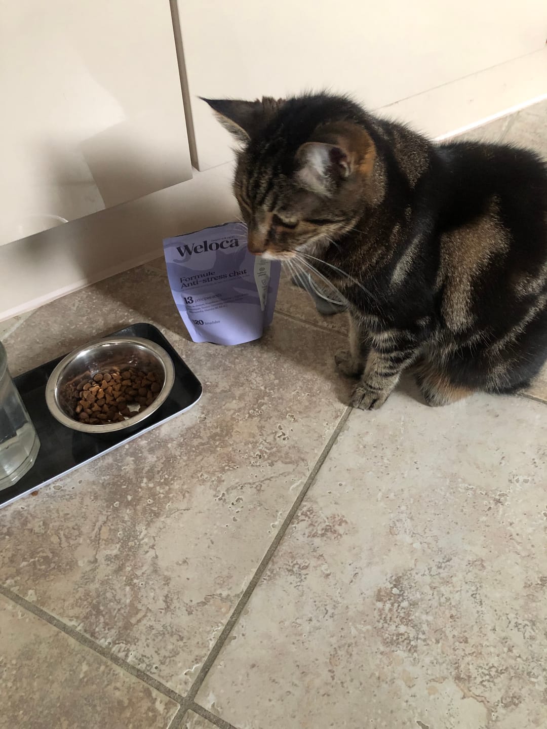 Customer photo review of Complément Anxiété| Chat