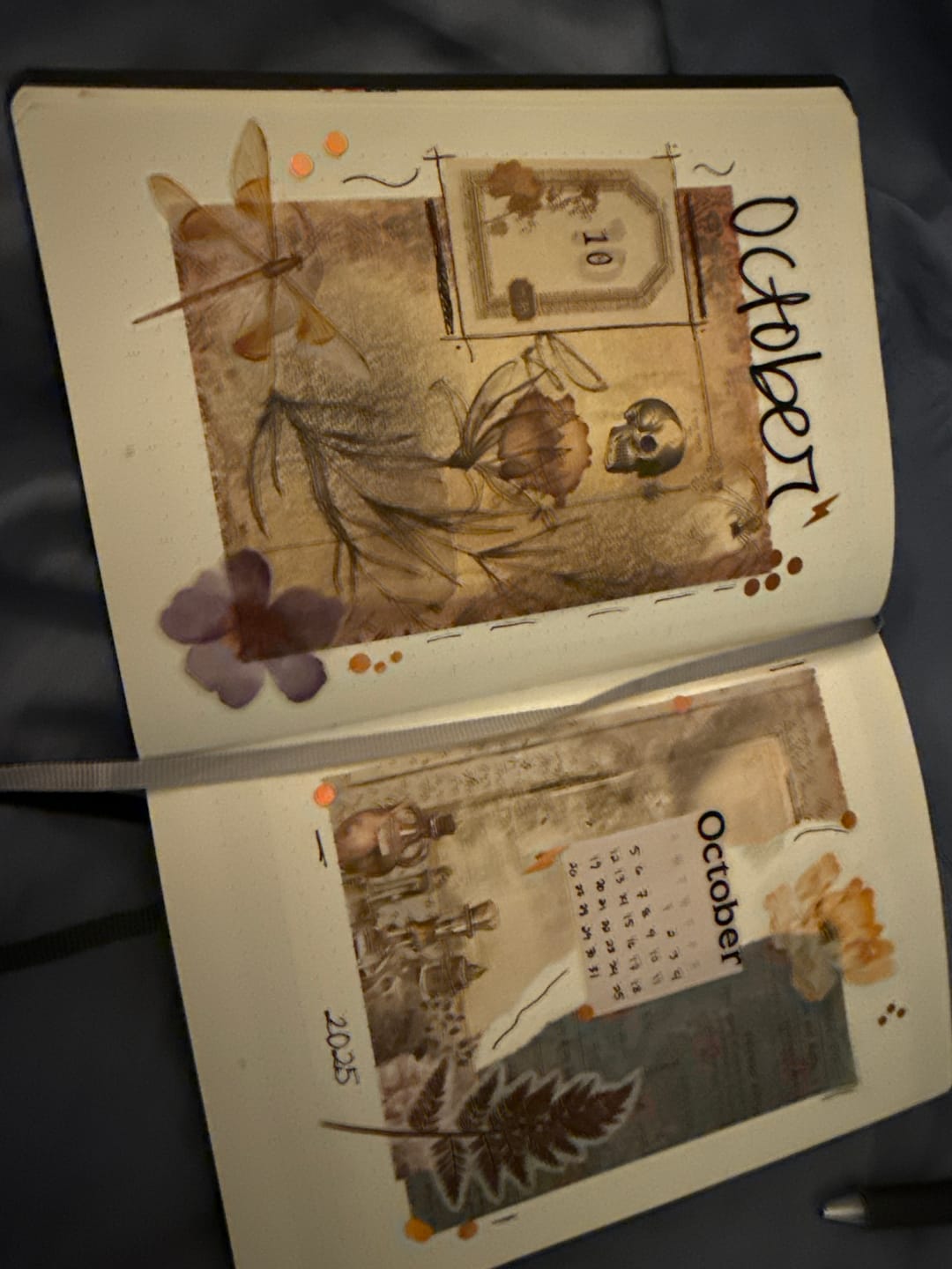 Customer photo review of Artist Edition 2024