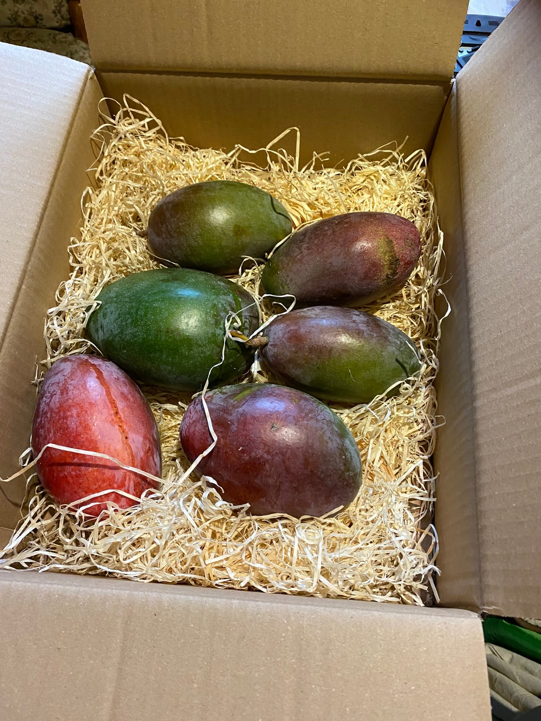 Customer photo review of Mango Osteen Bio von Julian Sonderaktion %