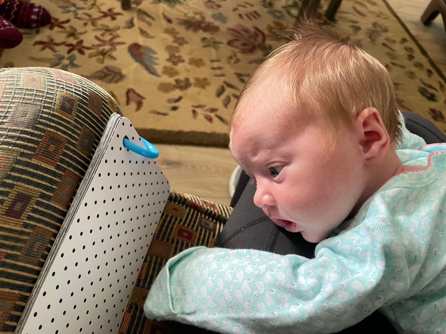 Customer photo review of Curious Baby™ Activity Cards