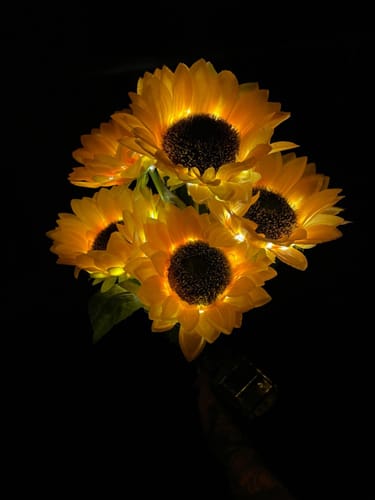 Customer photo review of Tournesols Féériques® | Fleurs solaires décoratives